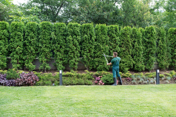 Best Lawn Drainage Solutions  in Lilburn, GA